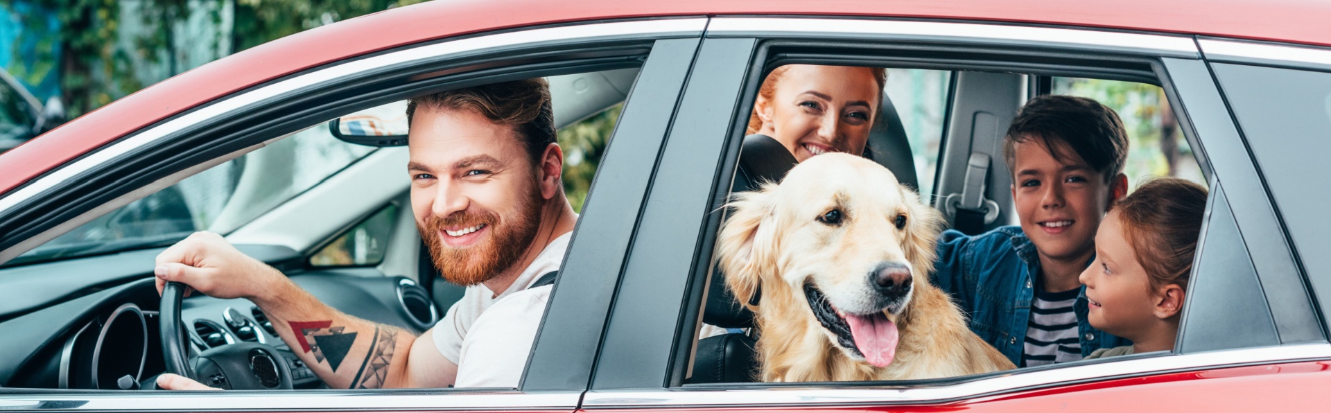 Paws and Ride. The Ultimate Guide to Dog-Friendly vehicles.